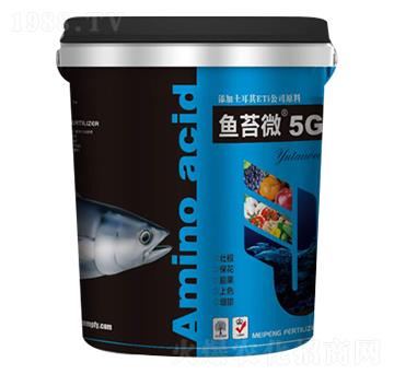 ~̦΢5G-ʘI