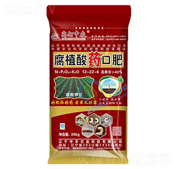 ֲˎڷ12-22-6-߿r