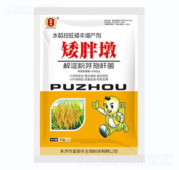 小麥控旺專用-矮胖子-金田豐