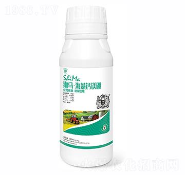 海藻鈣鎂硼1000ml-獅馬肥業