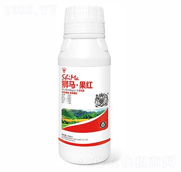 t50-350-450+TE-{RʘI