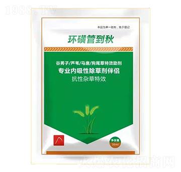 hǹܵ-֮