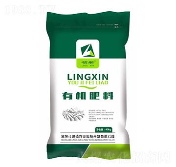 ЙC-I(lng)-GTr(nng)I(y)