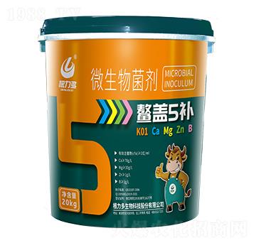 ΢-w5a-