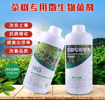 茶樹(shù)專(zhuān)用微生物菌劑-潤(rùn)垚