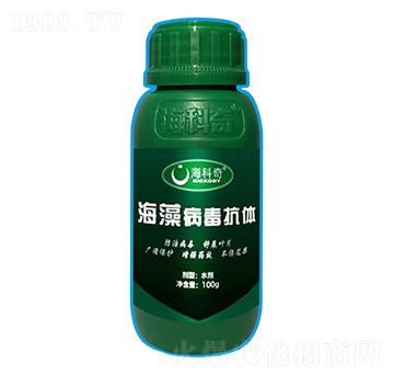 岡w-