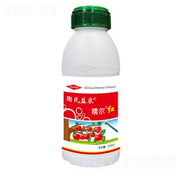 Ŵt-r(nng)