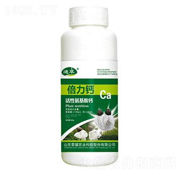 ԰}500g-M-sҫrI