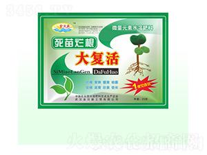 死苗爛根大復活-金日盛-富源祥肥業