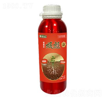 根彪-佰麗爾