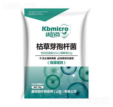 枯草芽孢桿菌-康佰微