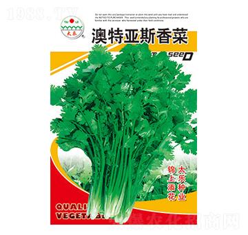 菠菜種子-澳特亞斯菠菜-太樂種業(yè)
