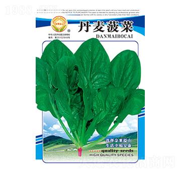 菠菜種子-丹麥菠菜-太樂種業