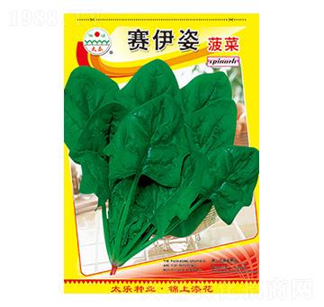 菠菜種子-賽伊姿菠菜-太樂種業