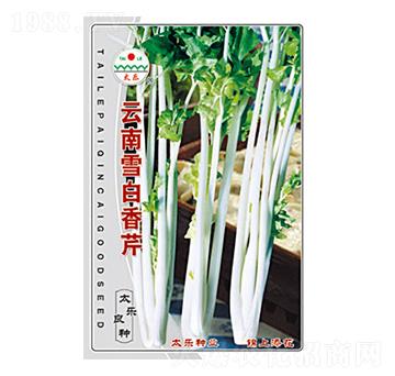云南雪白香芹-太樂種業