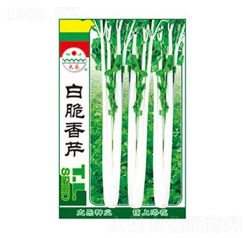 白脆香芹-太樂種業