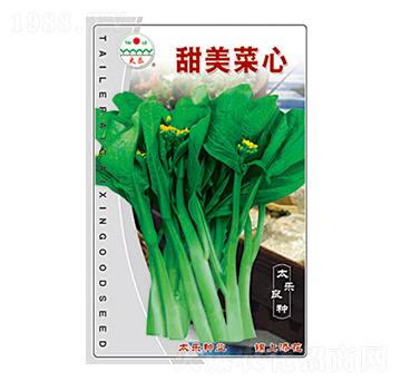 甜美菜心-太樂種業