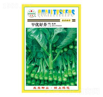 芥蘭種子-早優好芥蘭-太樂種業