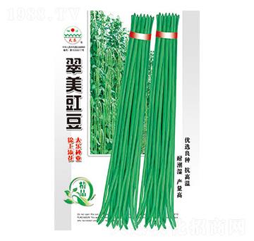 豇豆種子-翠美豇豆-太樂種業