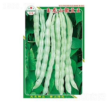 豇豆種子-玉龍山架豆王-太樂種業