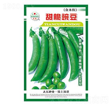 豌豆種子-甜脆豌豆-太樂種業