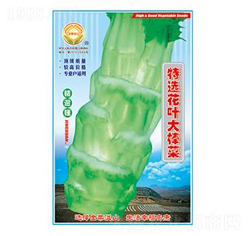 棒菜種子-特選花葉大棒菜-太樂種業