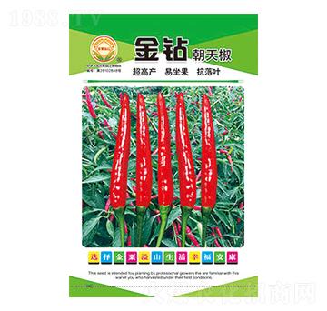 辣椒種子-金鉆朝天椒-太樂種業