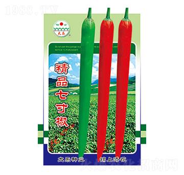 辣椒種子-精品七寸椒-太樂種業