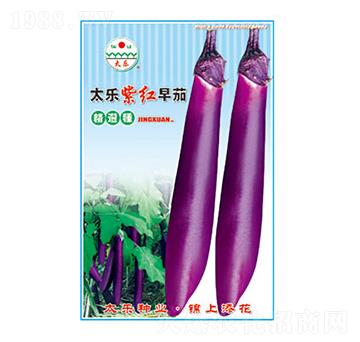 茄子種子-太樂紫紅早茄-太樂種業