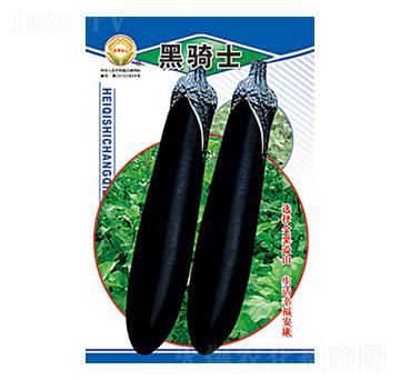 茄子種子-黑騎士-太樂種業