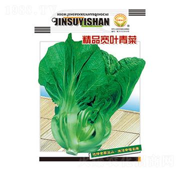 青菜種子-精品寬葉青菜-太樂種業