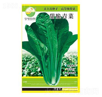 青菜種子-甜脆青菜-太樂種業