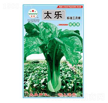 青菜種子-標準三月青-太樂種業