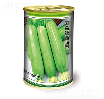 西葫蘆種子-蒙奇娜西葫蘆-太樂種業