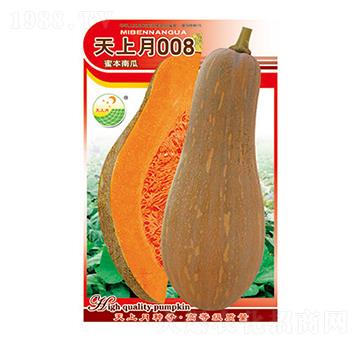 南瓜種子-天上月008-太樂種業(yè)