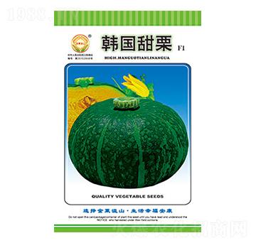 南瓜種子-韓國(guó)甜栗-太樂種業(yè)