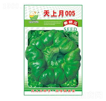 姜柄瓜種子-天上月005-太樂種業