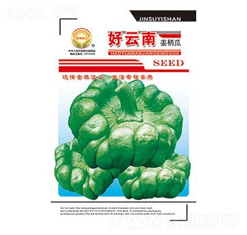 姜柄瓜種子-好云南-太樂種業