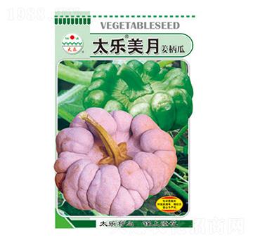 姜柄瓜種子-太樂美月-太樂種業