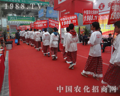 2013ֲչ[Ӣ@ĸ⳯