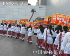 2014ֲrFꠄѿ