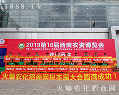 2019rY[rWo̎