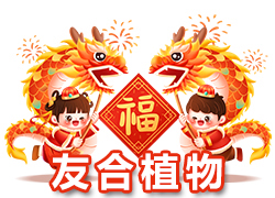 【鄭州友合植物】祝全國人民在新的一年里年年有余、歲歲平安！